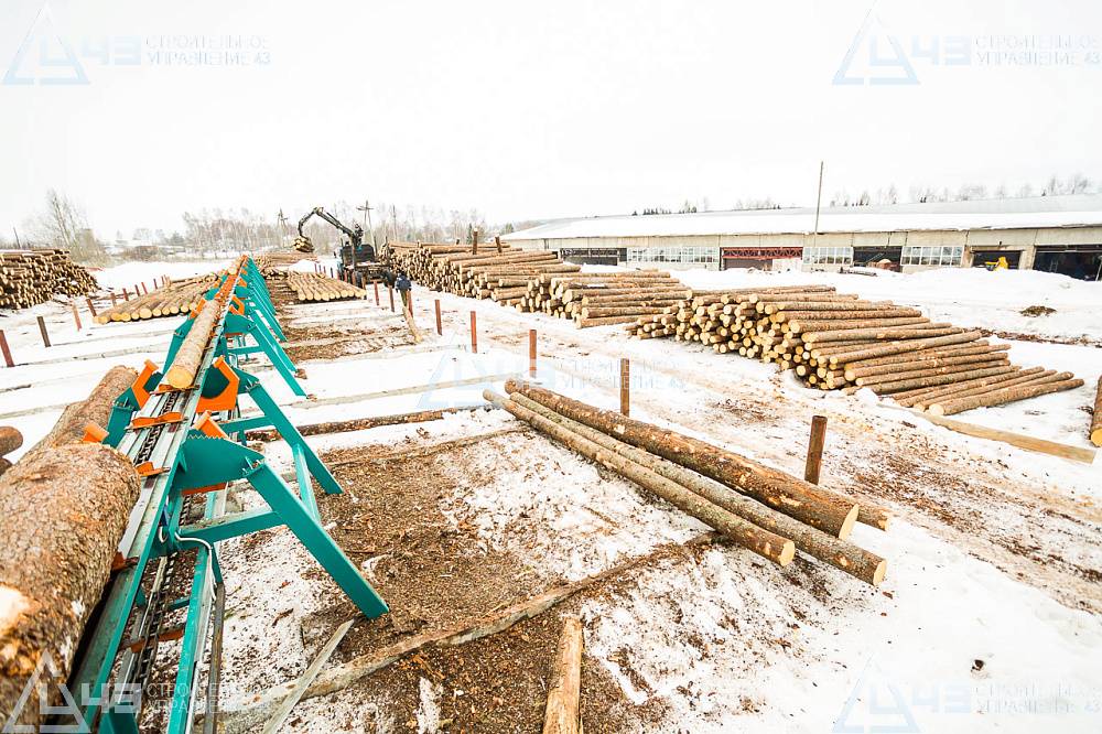 Сортировка леса. Линия сортировки бревен лсб-2. Сортировочный транспортер лт-182. Сортировочная линия для бревен. Линия сортировки бревен.